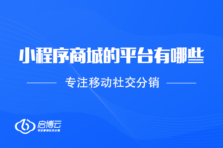 小程序商城的平台有哪些，应该如何选择？